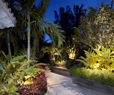 Texas Hill Country Landscape Lighting