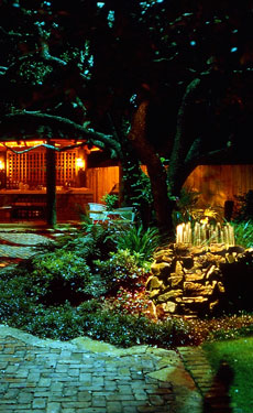 Texas Hill Country Landscape Lighting