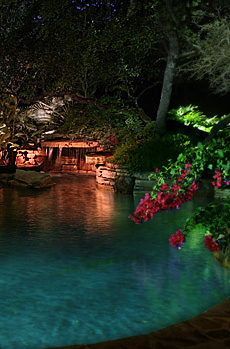 Central Texas Landscape Lighting